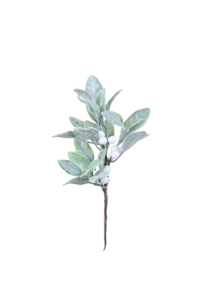 Vetva imelo - vianoč.