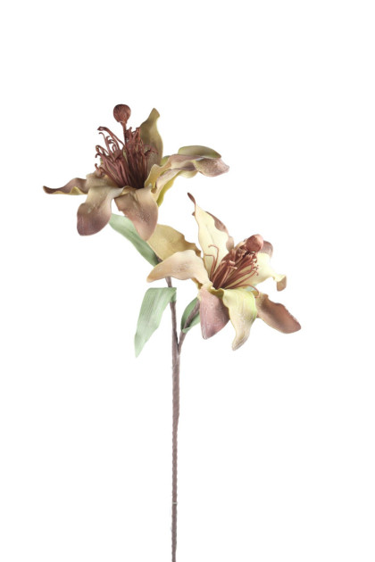 Kvet magnólia x 2 - pena / ks