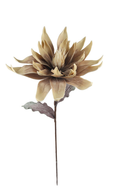 Kvet magnólia - pena / ks