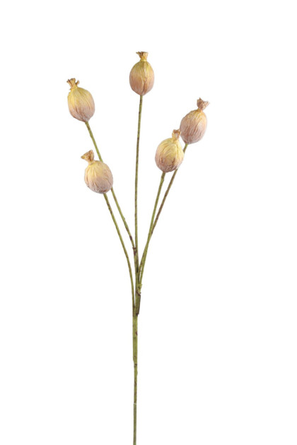 Kvet pena -  mak  x 5 / ks