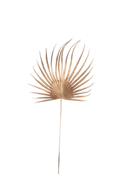 Palma zlatá vianočná