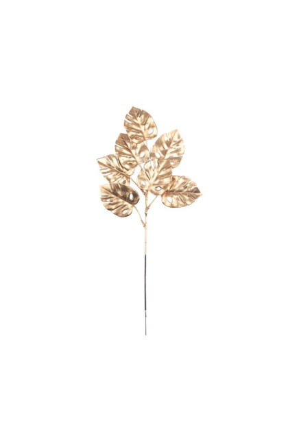 Vetva monstera zlatá, vianoč.