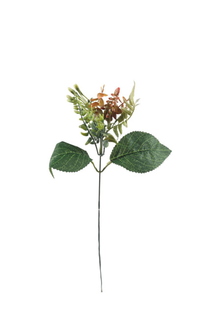 Pik modrica + kvietky