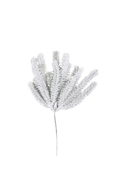 Vetva zasnežená vianoč.