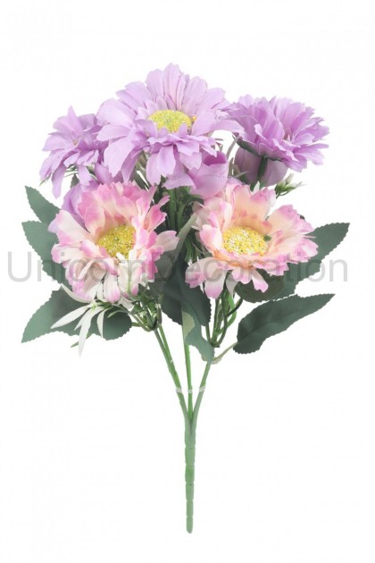 Kytica Gerbera x 6