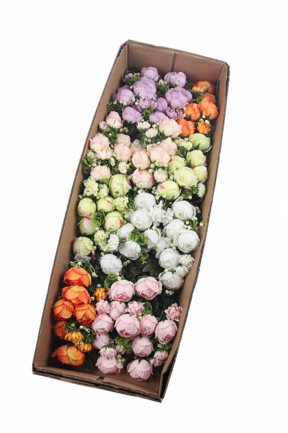 Kytica ranunculus x 9