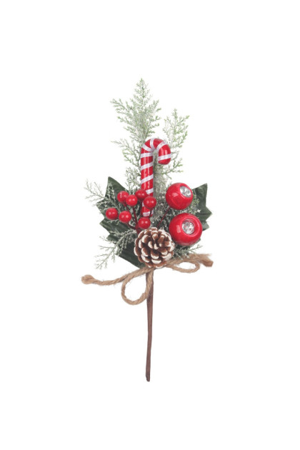 Pik s lízatkom vianoč.