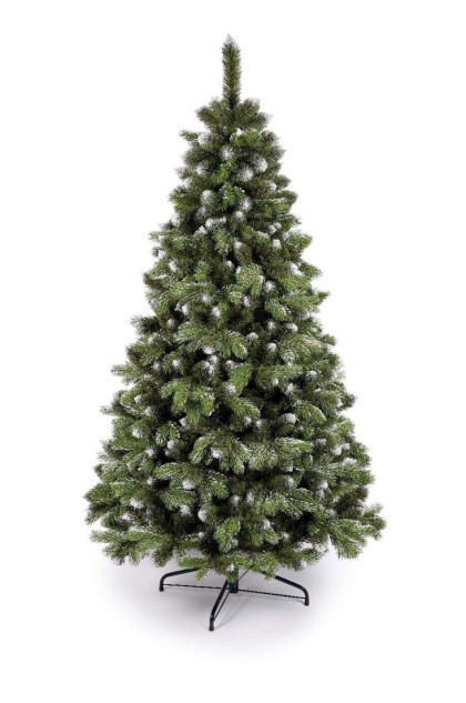 Borovica LAMIA  210 cm Borovica LAMIA  210 cm