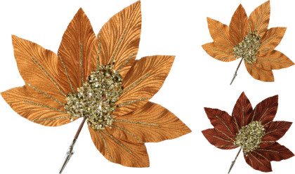 Poinsercia na štipci 25 cm Poinsercia na štipci 25 cm