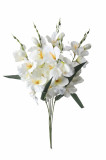 Kytica gladiola x 5 