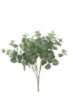 Kytica eukalyptus x 20