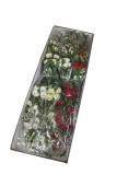 Ruža x 2+1 / ks