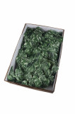 Ťahačka filodendron 80 cm