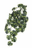 Ťahačka monstera 