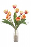 Kytica tulipán x8