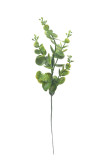 Prízdoba eukalyptus  plast.   ks
