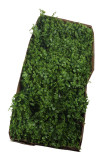 Prízdoba eukalyptus  plast.   ks