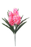 Kytica protea x 5