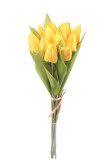 Tulipán ks 40 cm