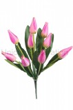 Kytica tulipán x 9