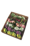 Kytica cesnak x 9
