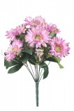 Kytica gerbera x 12