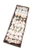 kvet pena /126 cm