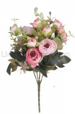 Kytica ranunculus x 5