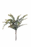 Kytica eukalyptus x 4