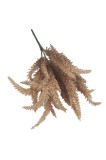 Kytica vres