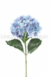 Hortenzia ks 68 cm