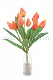 Kytica tulipán x9