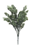 Kytica eukalyptus x7