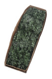 Kytica eukalyptus x7