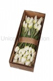 Kytica tulipán x 5 