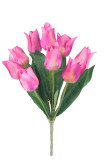 Kytica tulipán x 9