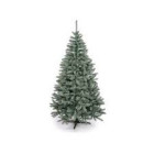 Jedľa Renata 180 cm